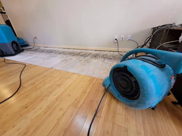 Professional Structural Drying technician working in Brookwood, AL